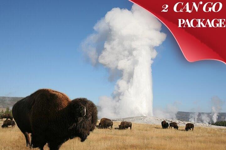 Yellowstone & Grand Teton National Parks: Small Group 4-Day Tour - Photo 1 of 25